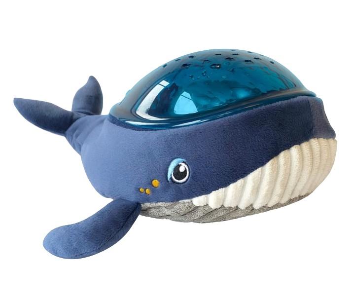 Pabobo - Aqua Dream - Whale